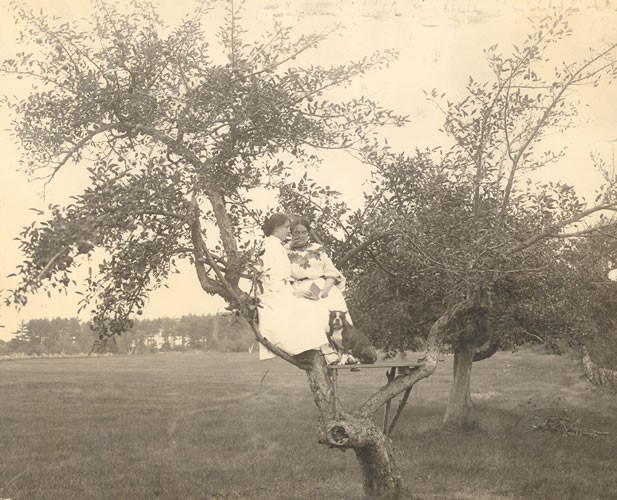 Helen Keller reads Anne's lips with her fingers as they sit together in a tree. A dog at their feet sits on a wooden board placed between two strong branches of the tree. Both Helen and Anne wear long, high-necked, light-colored dresses. Their hair is pulled back in buns. Wrentham, Massachusetts, 1904.