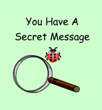 Lady bug (Braille Bug) and magnifying glass, with text 'You have a secret message.'