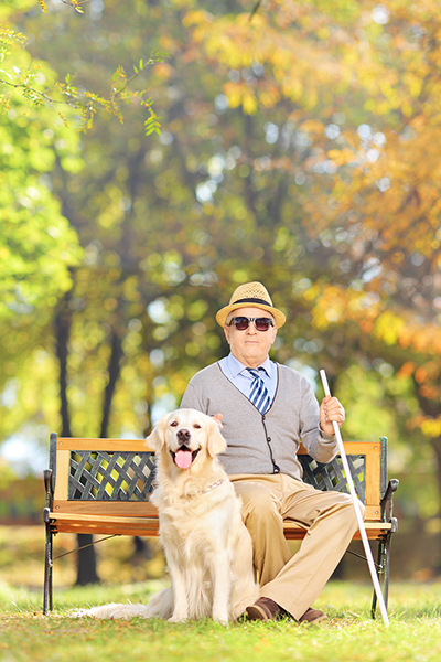 Older man sitting on a wooden bench with his cane in hand, and labrador retriever dog, in a park