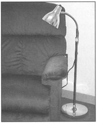 Reizen Low Vision Floor Lamp