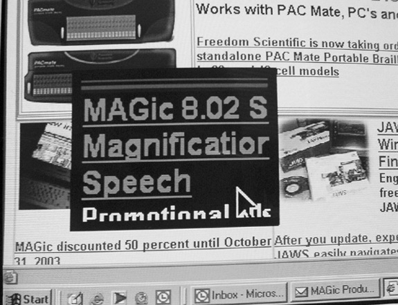 Figure 2: Computer screen image showing an enlarged Internet Explorer page using MAGic's Lens View mode.