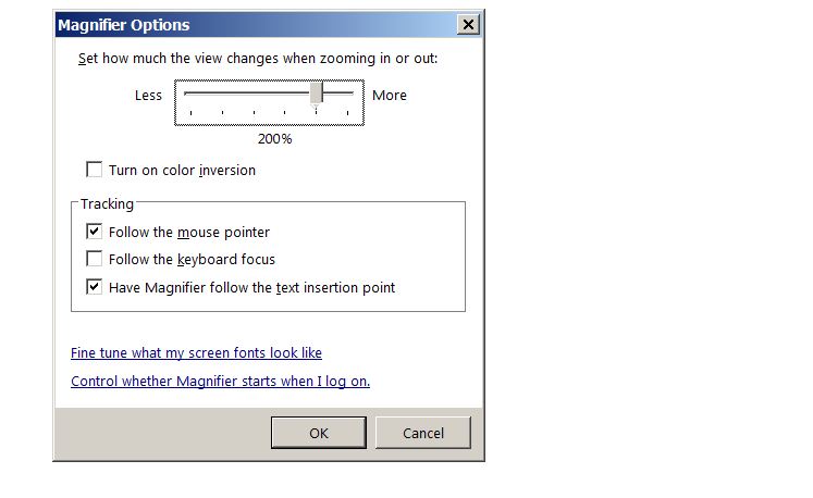 Magnifier Options Window