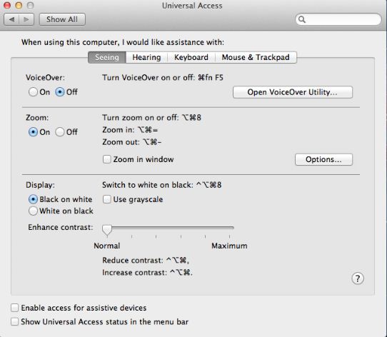 Mac OS Universal Access window